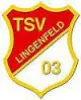 TSV Lingenfeld II